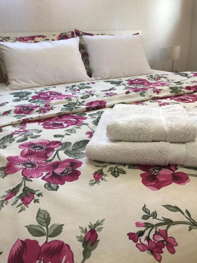 Apartman Studio Milojkovic Galambóc Kültér fotó